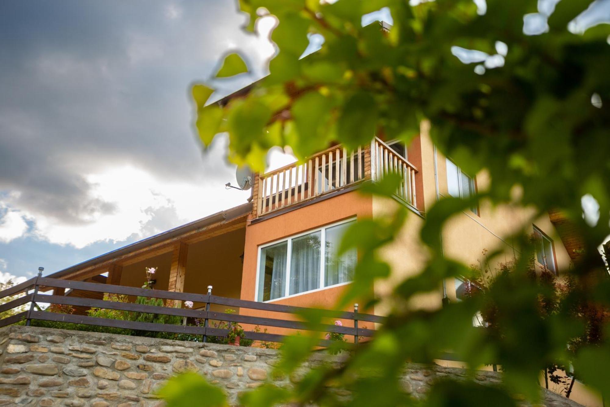 Casa Rumelia Paltineni Exterior foto