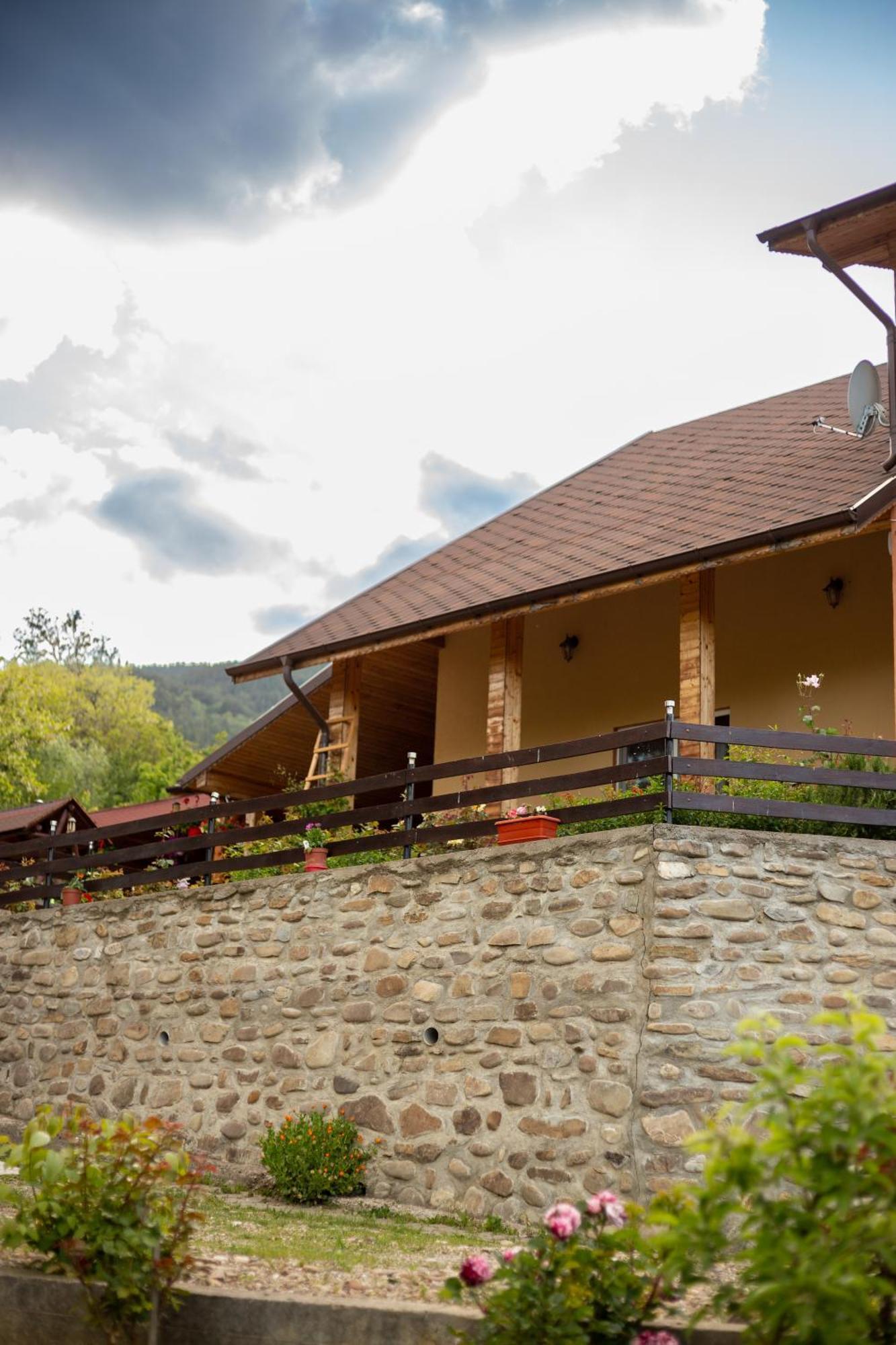 Casa Rumelia Paltineni Exterior foto